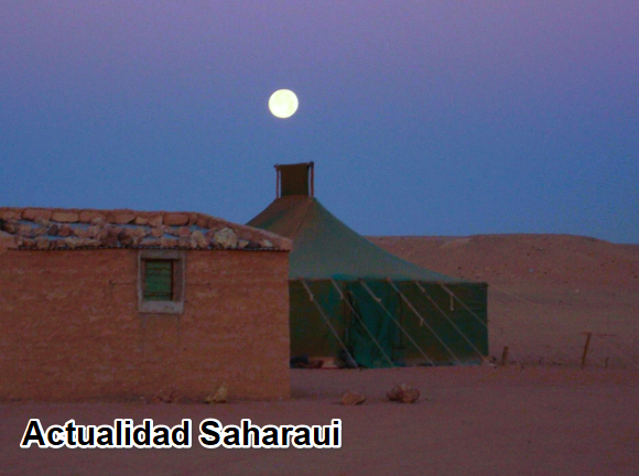 Noticias del SAHARA OCCIDENTAL – 20/2/2025 – La Actualidad Saharaui