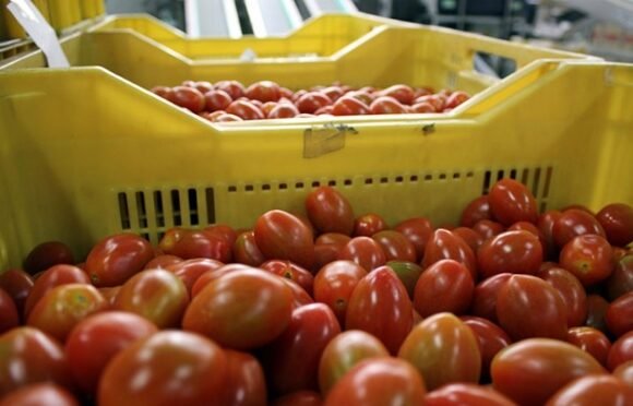 El Consejo de Estado francés confirma: Nada de “Hecho en Marruecos” para productos saharauis | NR | Periodismo alternativo