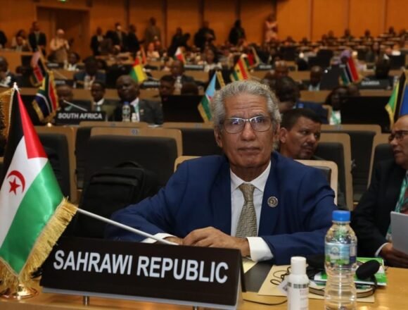 uld_salek_summi La República Saharaui participa en la XLVI Sesión del Consejo Ejecutivo de la UA | Sahara Press Service (SPS)