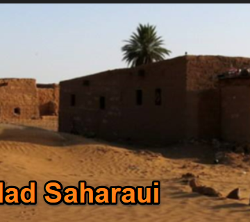 Noticias del SAHARA OCCIDENTAL – 7/2/2025 – La Actualidad Saharaui