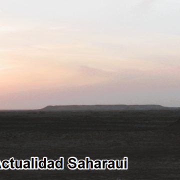 Noticias del SAHARA OCCIDENTAL – 13/2/2025 – La Actualidad Saharaui