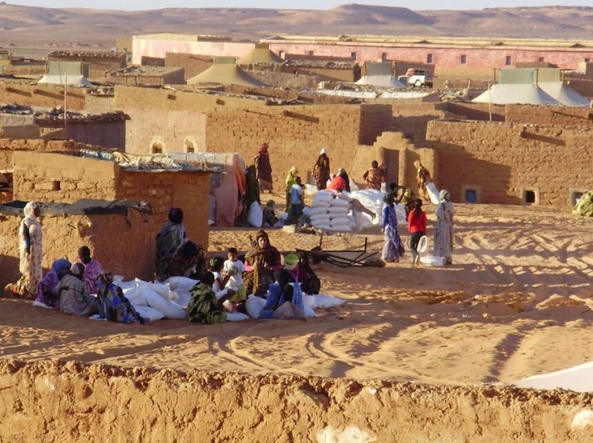 Campamentos de personas refugiadas saharauis | A las inhóspitas condiciones de vida que soportan en Tinduf, se une el daño de los millones de minas que Marruecos ha sembrado en las inmediaciones de los 2.700 kilómetros del muro de la vergüenza