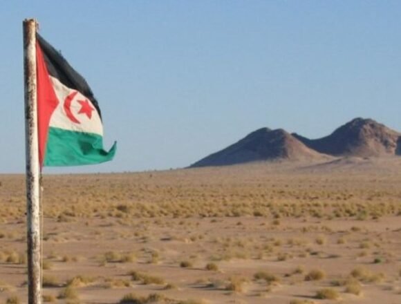 Sáhara Occidental ocupado: Continúan el acoso, la vigilancia y las restricciones contra los miembros de CODESA – Observatorio para la Protección de los Defensores de Derechos Humanos