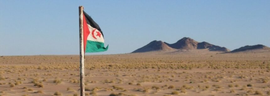 Sáhara Occidental ocupado: Continúan el acoso, la vigilancia y las restricciones contra los miembros de CODESA – Observatorio para la Protección de los Defensores de Derechos Humanos