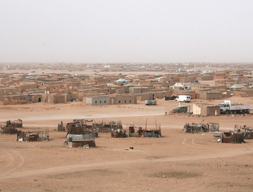 Jornadas Universitarias sobre la Cultura Saharaui – Universidad de La Rioja