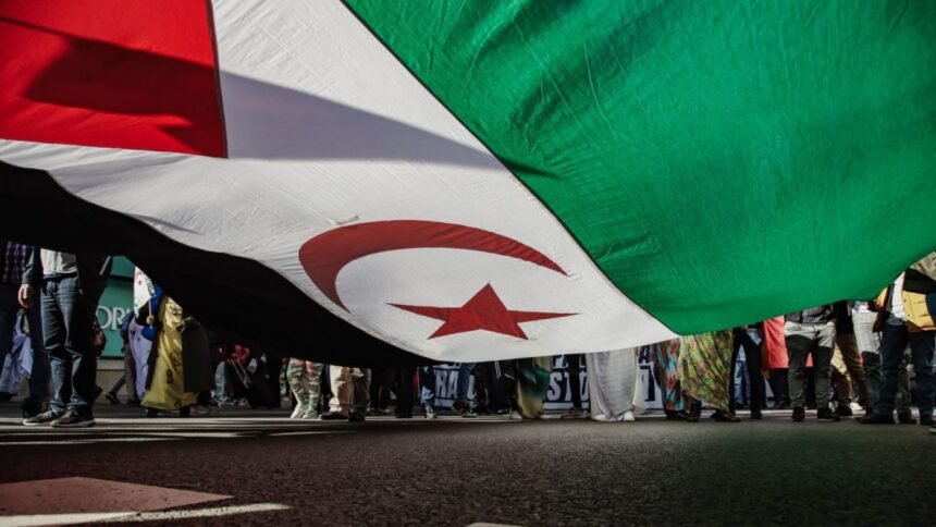 La estrategia de Albares hacia el pueblo saharaui: retórica de la ONU, realpolitik con Marruecos – Por Xuxo Moran, Rebelión, Africa en Resumen