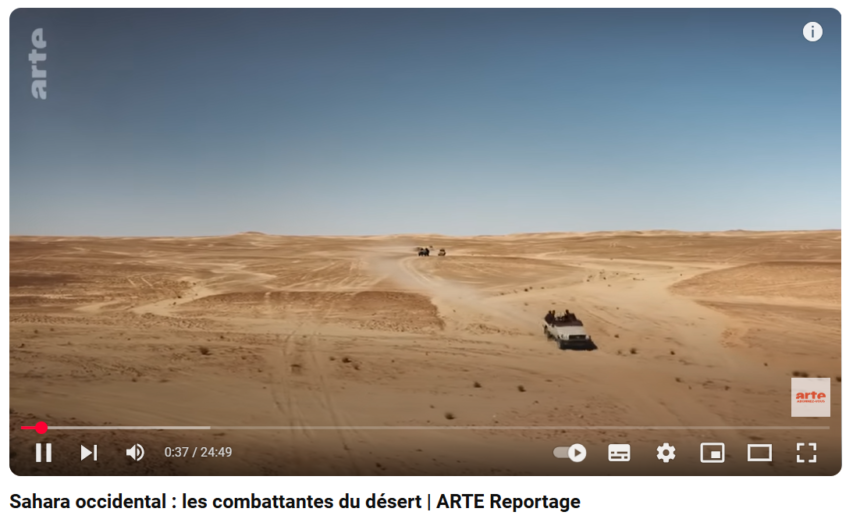 Sahara Occidental : las combatientes del desierto | ARTE Reportage (Vídeo)