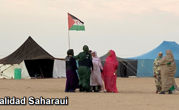 Noticias del SAHARA OCCIDENTAL – 16/4/2025 – La Actualidad Saharaui