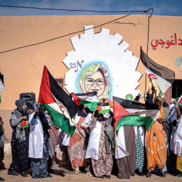 Noticias del SAHARA OCCIDENTAL – 30/4/2025 – La Actualidad Saharaui