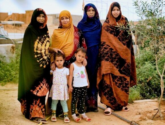 Sembrando en el desierto (1): una pequeña revolución verde en el Sáhara – Climática, el medio especializado en clima y biodiversidad