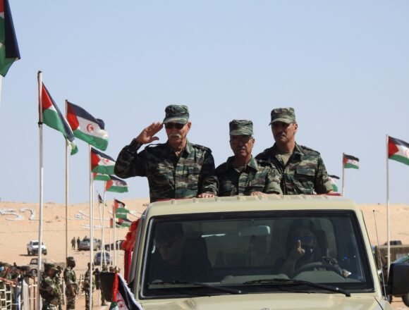 SAHARA OCCIDENTAL: Un desfile militar con motivo del «Día del Ejército Nacional» y del «Aniversario del Inicio de la Lucha Armada» destaca la preparación combativa del Ejército Saharaui