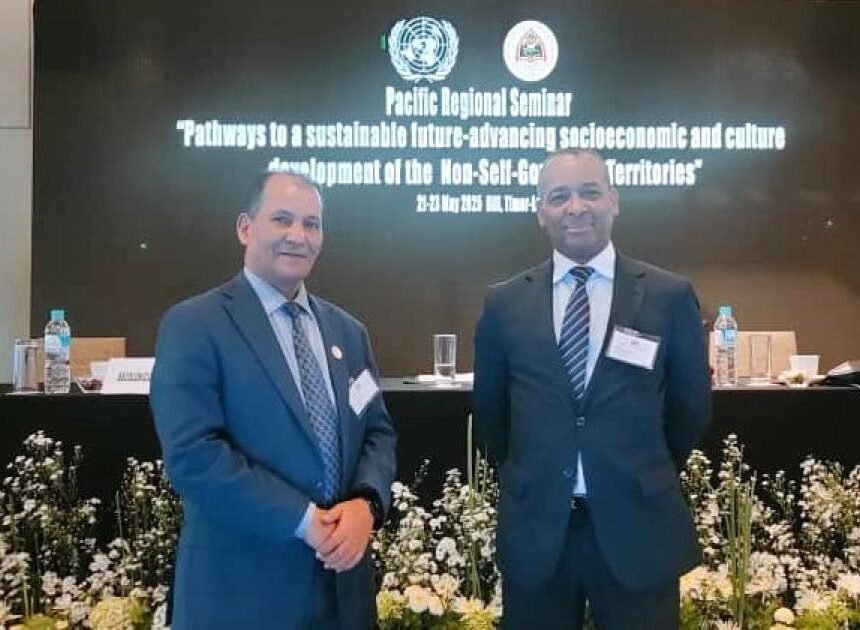 1000480030 Delegación saharaui participa en Seminario de la Cuarta Comisión de Descolonización | Sahara Press Service (SPS)