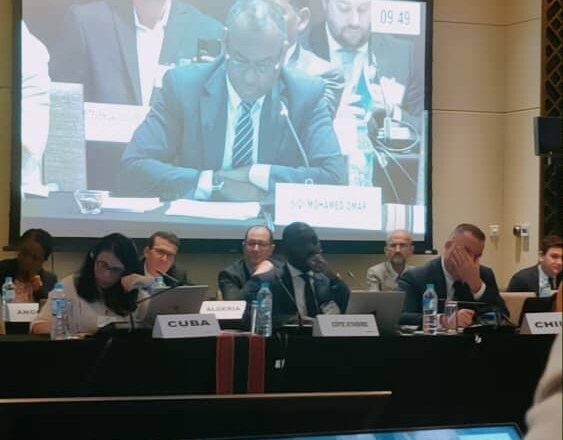 Representante del Frente Polisario ante la ONU: nunca aceptaremos el hecho colonial consumado y continuaremos nuestra legítima resistencia y lucha
