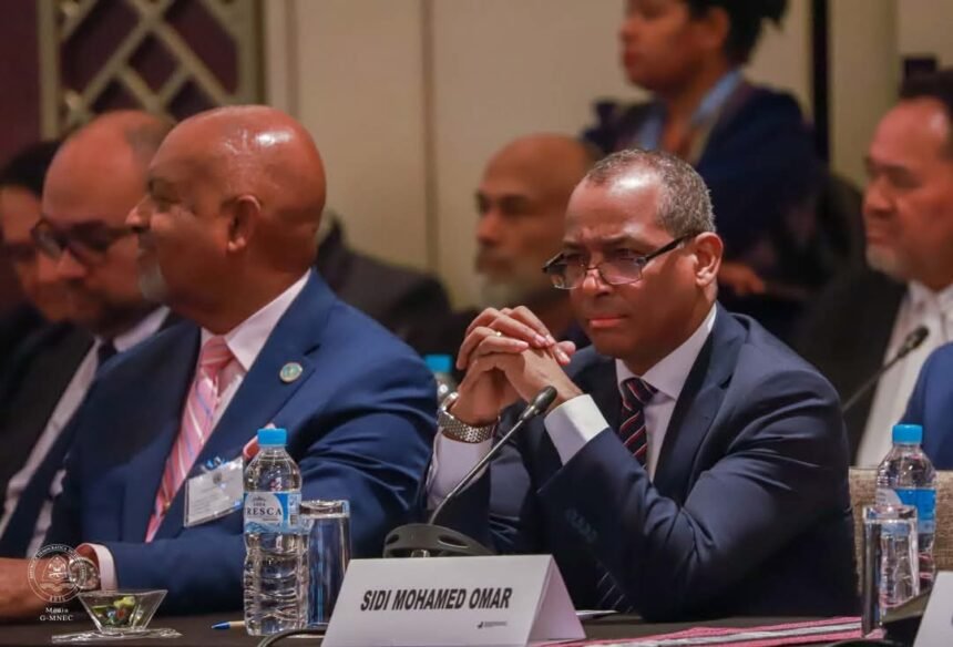 El representante del Frente Polisario en la ONU rebate las afirmaciones infundadas del Estado de ocupación marroquí ante el Comité de Descolonización