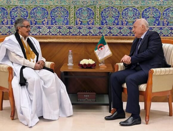 1000485081 Nuevo embajador saharaui entrega copia de estilo de sus credenciales al canciller argelino | Sahara Press Service (SPS)