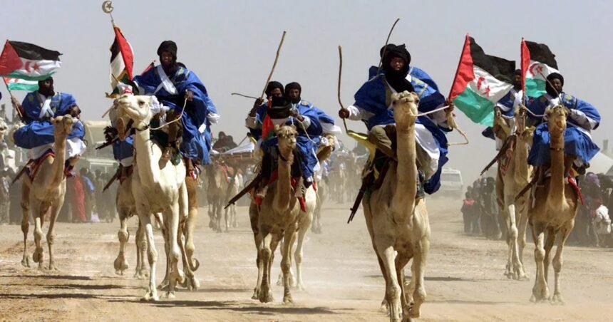 Del nacimiento del Frente Polisario al primer combate por la libertad – ESTRATEGIA Y DEFENSA Reflexiones y Análisis