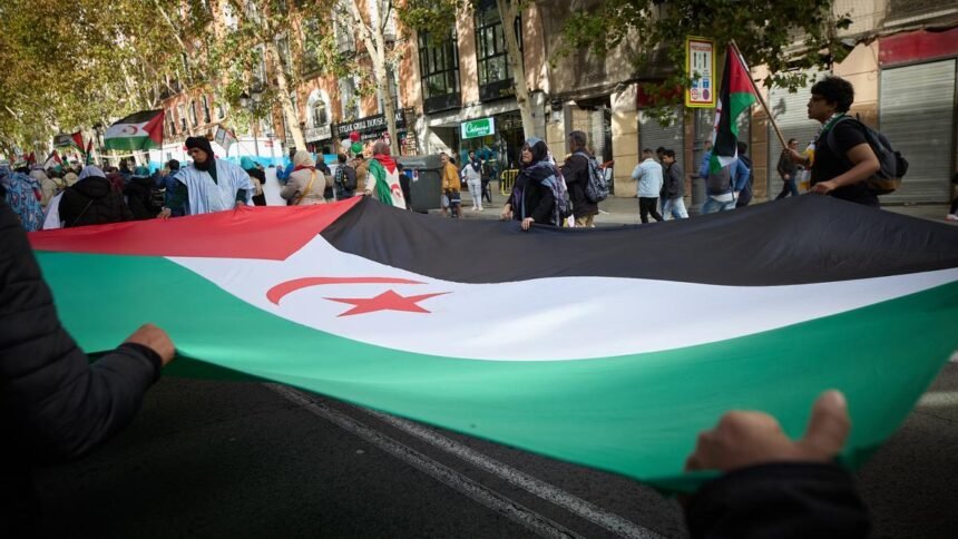 España, Francia y Bruselas: un triángulo alineado con Marruecos frente al pueblo saharaui – elDiario