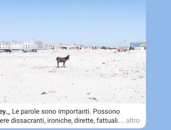 “No sois bienvenidos”: la historia de una expulsión en el Sáhara Occidental y de la represión que también afecta a la información – NOTIZIE SUL SAHARA OCCIDENTALE