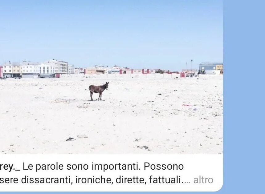 494455000_10237135572870985_4482963980452470230_n “No sois bienvenidos”: la historia de una expulsión en el Sáhara Occidental y de la represión que también afecta a la información – NOTIZIE SUL SAHARA OCCIDENTALE