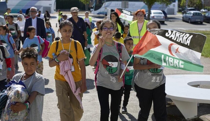 ANAS necesita familias para acoger en Navarra a 15 menores saharauis este verano