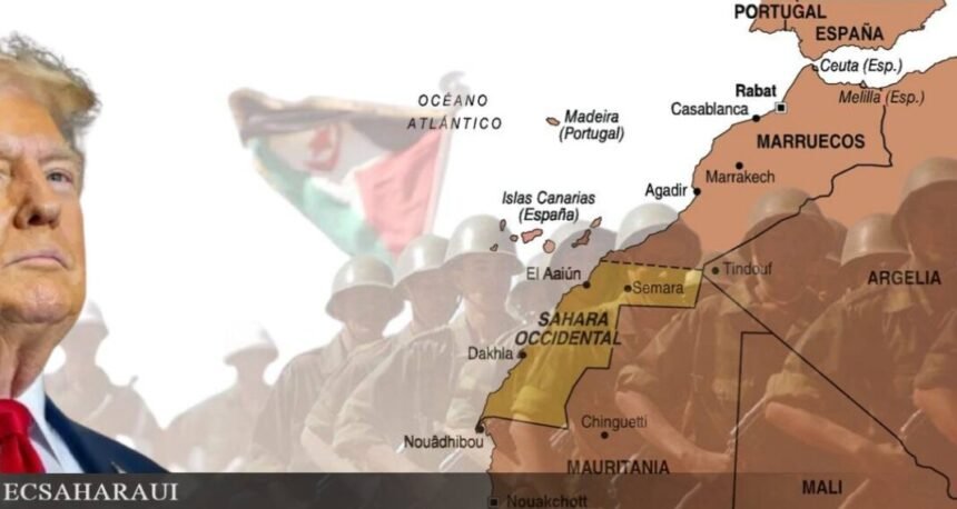 La telaraña dentro de la conspiración global para blanquear la ocupación marroquí y criminalizar al Frente POLISARIO – Por Ahmed Omar
