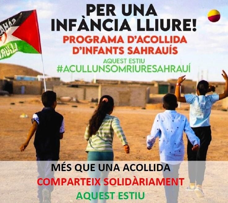 Imatge-Vacances-en-pau-2025-20250515140348 El Ayuntamiento de Reus hace un llamamiento a las familias a acoger a un niño saharaui durante el verano
