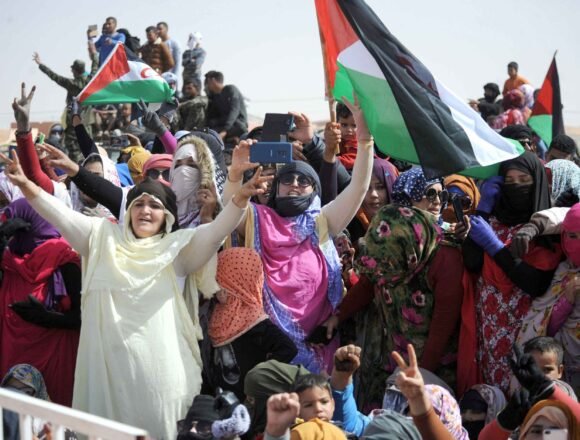 52º aniversario de la creación del Frente Polisario: Un recorrido marcado por victorias y logros – El WATAN