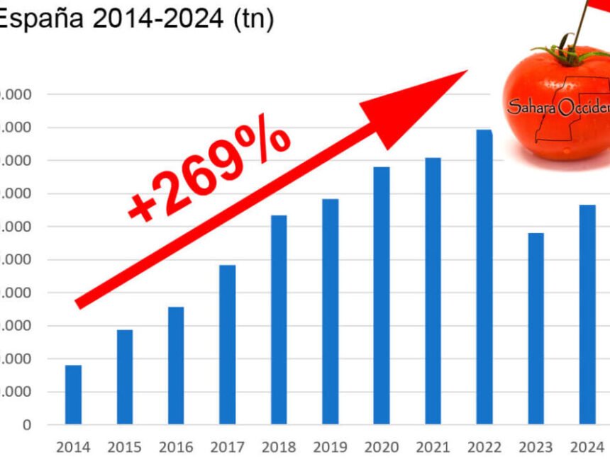 TOMATE-CHERRY-SE-DISFRAZA-DE-MARROQUI-SUPERMERCADOS-DENUNCIA-COAG-1080x675 COAG reclama que se cumpla el control del etiquetado en las importaciones del Sáhara