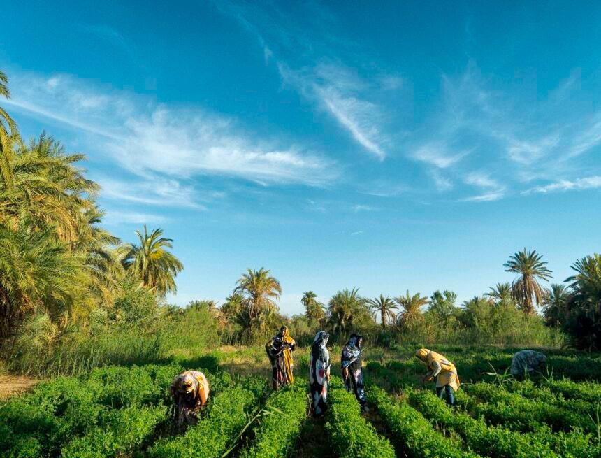 X3.1 Sembrando en el desierto (3): ¿Las campesinas saharauis viven ya en el futuro? – CLIMÁTICA