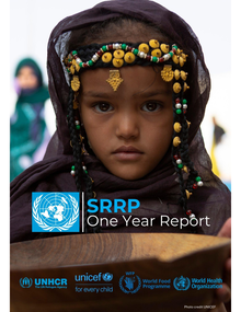 Avance del informe anual del Plan de Respuesta a los Refugiados Saharauis 2024.pdf
