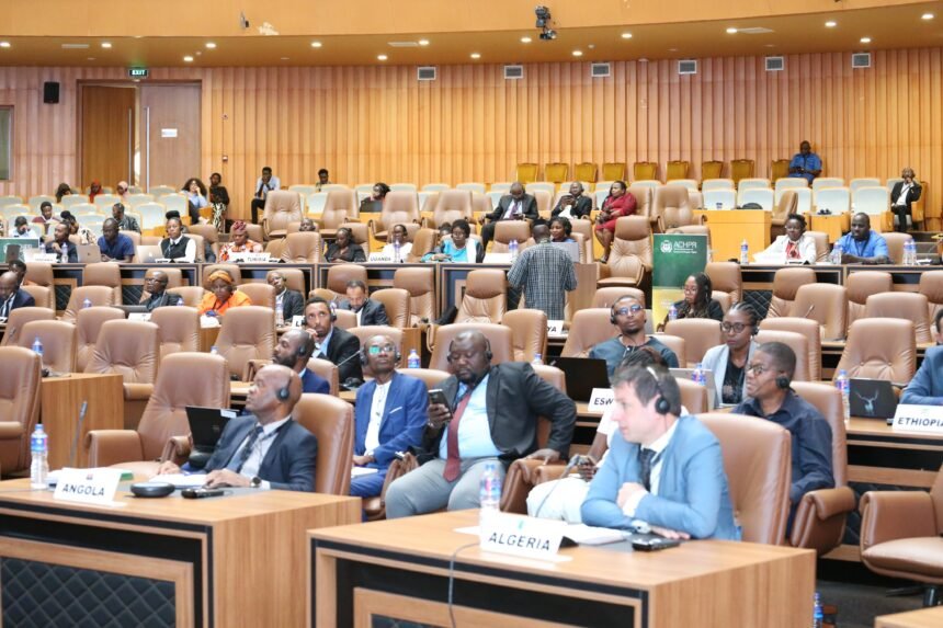 La República Saharaui pide a la Unión Africana el apoyo internacional y africano para investigar el grave fenómeno de las desapariciones en el Sáhara Occidental | Sahara Press Service (SPS)