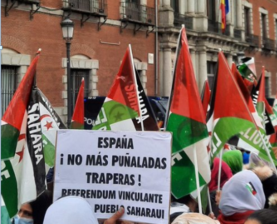 Manifiesto en defensa del derecho irrenunciable del pueblo saharaui a decidir libremente su futuro – Contramutis