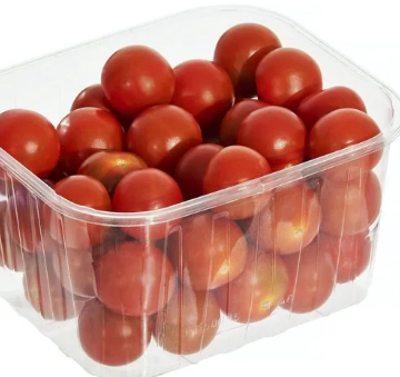 El tomate cherry del Sáhara Occidental se disfraza de marroquí en los supermercados españoles – Contramutis