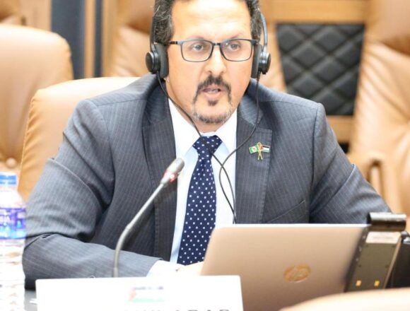 La República Saharaui participa en el 83º periodo de sesiones de la Comisión Africana de Derechos Humanos y de los Pueblos