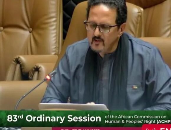 La República Saharaui pide a la Comisión Africana de Derechos Humanos y de los Pueblos que investigue la tortura y los abusos contra civiles y activistas saharauis