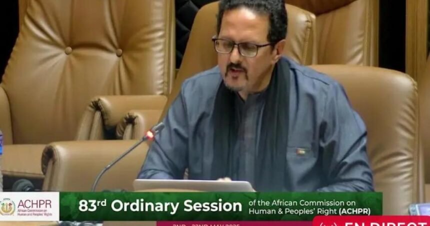La República Saharaui pide a la Comisión Africana de Derechos Humanos y de los Pueblos que investigue la tortura y los abusos contra civiles y activistas saharauis