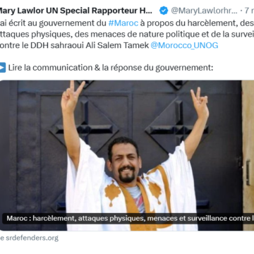 La relatora de la ONU expresa su «grave preocupación» por el acoso de Marruecos a un activista saharaui | Sahara Press Service (SPS)