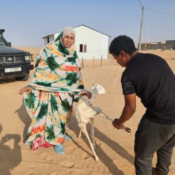 La Asociación Argelina Al-Baraka distribuye ofrendas del Eid en los campos de refugiados | Sahara Press Service (SPS)