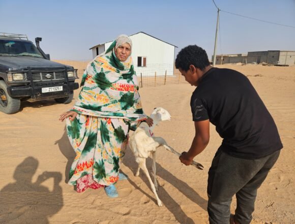 1000495375 La Asociación Argelina Al-Baraka distribuye ofrendas del Eid en los campos de refugiados | Sahara Press Service (SPS)