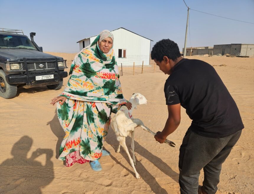 1000495375 La Asociación Argelina Al-Baraka distribuye ofrendas del Eid en los campos de refugiados | Sahara Press Service (SPS)