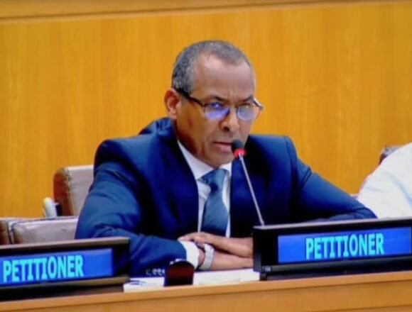 1000500022 Representante del Frente POLISARIO en la ONU afirma: “el pueblo saharaui continuará su lucha por todos los medios legítimos hasta lograr sus aspiraciones de libertad e independencia” | Sahara Press Service (SPS)