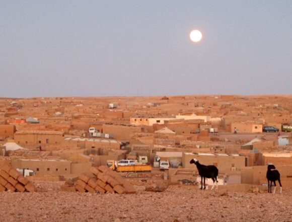 La MLRS y agencias de la ONU alertan sobre el deterioro de la situación alimentaria en los Campamentos de Refugiados Saharauis | Sahara Press Service (SPS)