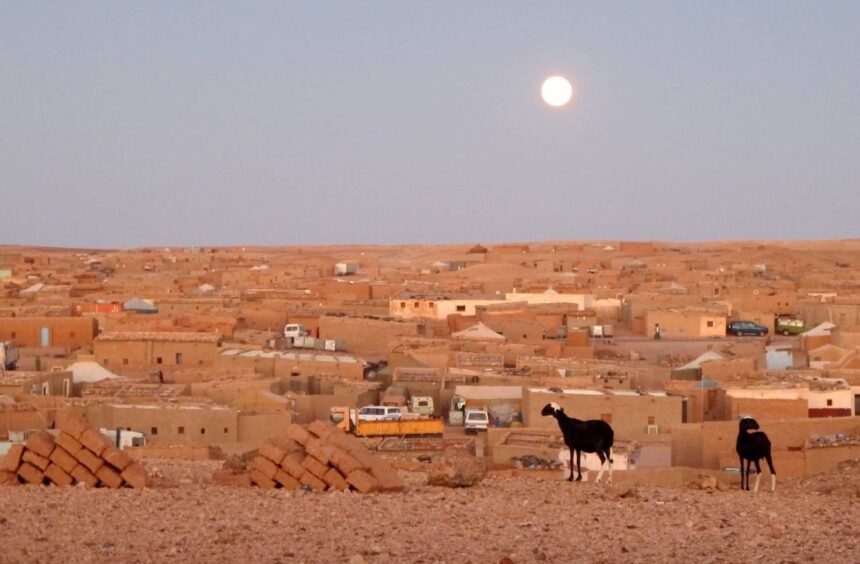 La MLRS y agencias de la ONU alertan sobre el deterioro de la situación alimentaria en los Campamentos de Refugiados Saharauis | Sahara Press Service (SPS)
