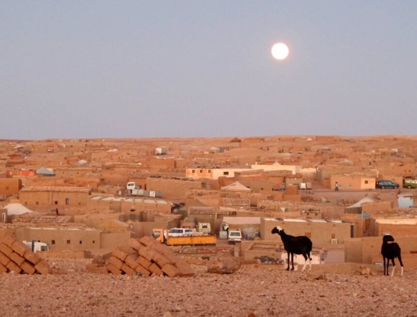 1009254_10201905355508695_1740031274_o La MLRS y agencias de la ONU alertan sobre el deterioro de la situación alimentaria en los Campamentos de Refugiados Saharauis | Sahara Press Service (SPS)
