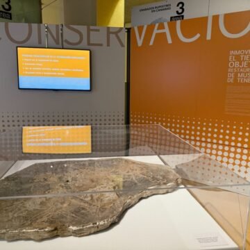 TENERIFE | Un grabado rupestre del Sahara Occidental se exhibe en el MUNA – RTVC / EFE