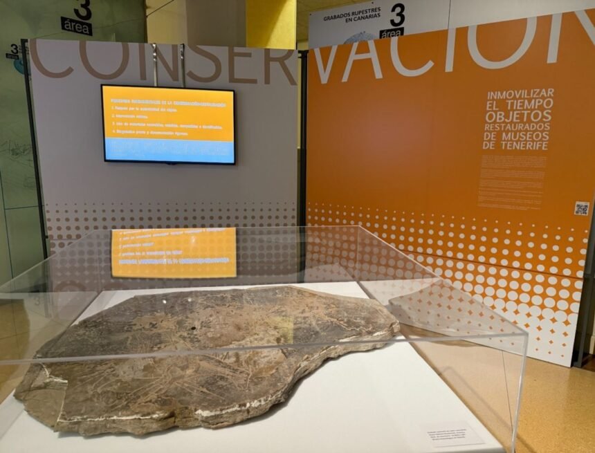 TENERIFE | Un grabado rupestre del Sahara Occidental se exhibe en el MUNA – RTVC / EFE