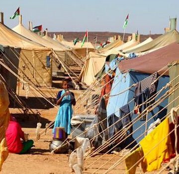 Día Mundial Personas Refugiadas: ACNUR Argelia llama a la solidaridad en favor de los refugiados saharauis – Agencia de Noticias Argelina APS