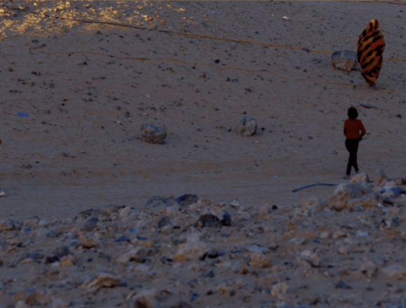 CIMA colabora en un evento para la promoción cinematográfica de proyectos del Sahara Occidental | CIMA – Asociación de Mujeres Cineastas y de Medios Audiovisuales 