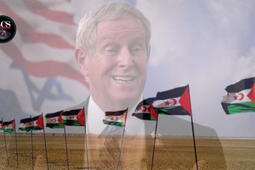 ¿Por qué la designación del Frente Polisario como organización terrorista carece de fundamento jurídico serio? – Por Salim Djellab