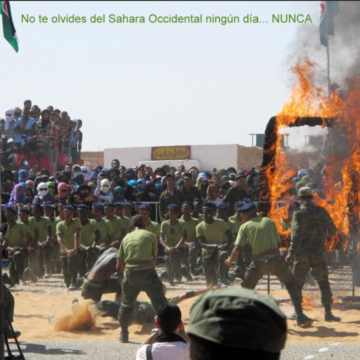 Noticias del SAHARA OCCIDENTAL – 16/6/2025 – La Actualidad Saharaui